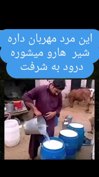 👏👏👏😑