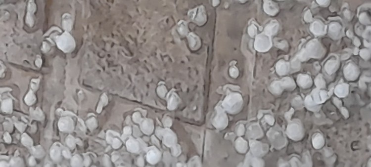 بارش نقل.خدایا شگرت 