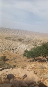 کوه نوردی دیروزم 