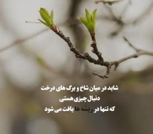 شبتون بخیر 