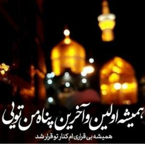 یا ضامن آهو🌻🌻🌻🦋🦋🦋