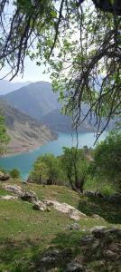 زیرکوه شالو