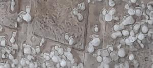 بارش نقل.خدایا شگرت 