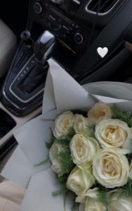 به سودای تو مشغولم، ز غوغای جهان فارغ...💫⭐️