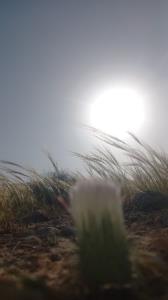 غروب دیروزم 