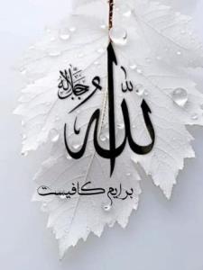 سلام ب همگی دوستان 