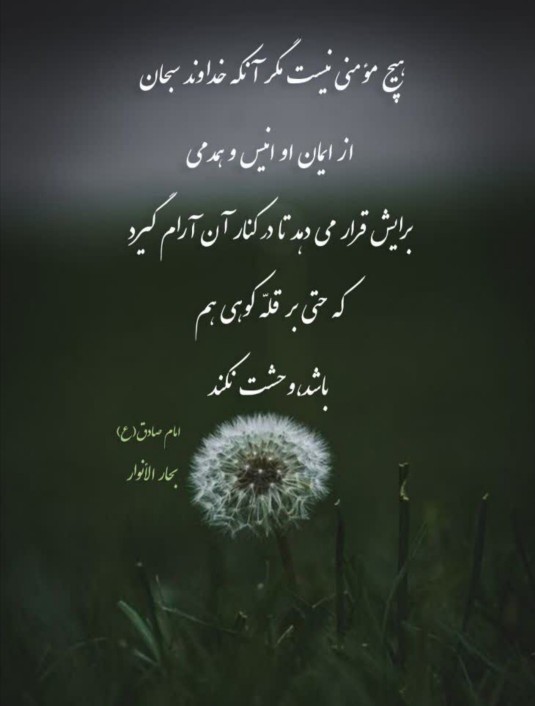 یک فنجان معرفت