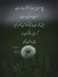 یک فنجان معرفت