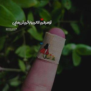 تو مرهم عالم وزخم تن مایی 