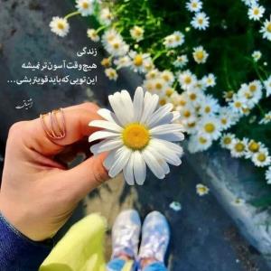 شبتون بخیر 