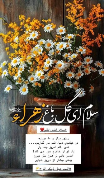 سلام ای گل 🌹 باغ زهرا 