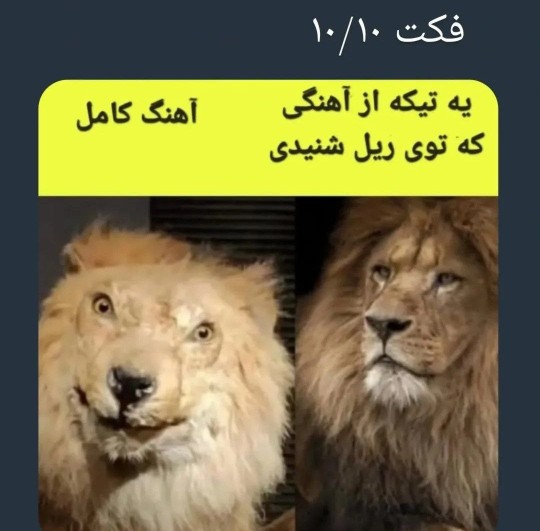 واقعا همینطوره😂