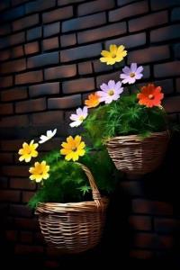 سلام عصرتون زیبا🎀