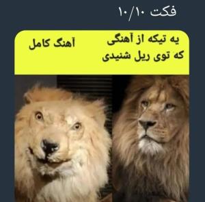 واقعا همینطوره😂