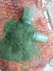 خانه ی مهتاب بانو، حوالیِ عطر خوشِ نعنا....