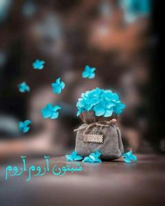 شبتون آرام و دلنشین ،آرزوی قلبیم تقدیمتان👇🌺🩷🌺