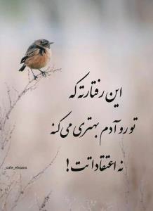 دقیقا 👌
