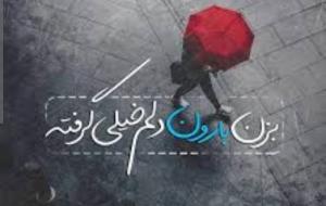 خیلی