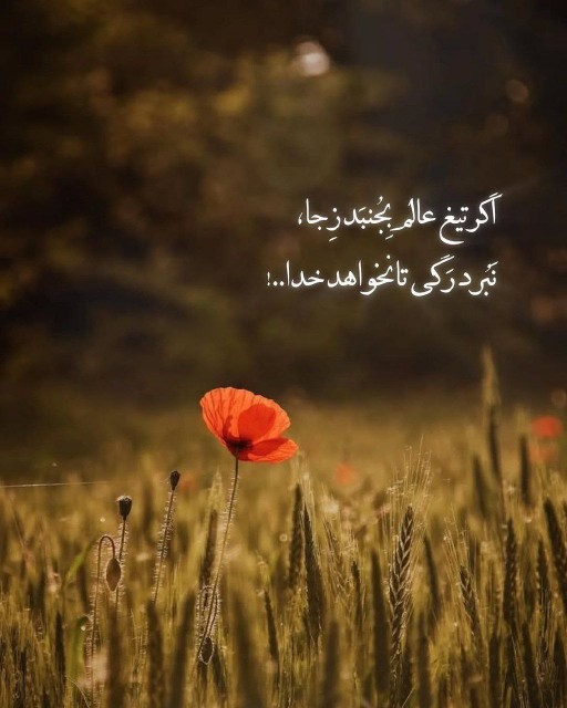 گاهی مسیر زندگی...💢