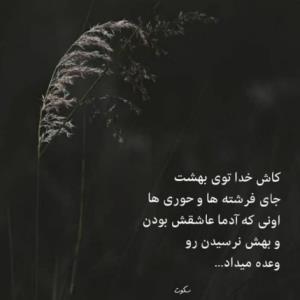 کاش ،،،