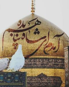تولدت مبارک یا ضامن آهو🙏🙏