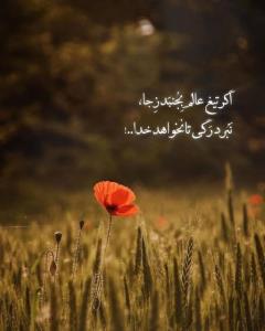 گاهی مسیر زندگی...💢