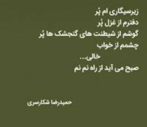 شعر 