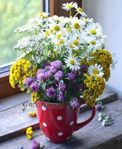 🌸
🌸تقدیم بہ شما خوبان 🌸🌸
یڪ سبـد گلهاے بهشتے 
🌸🌸