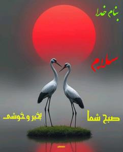 صبح بخیر 