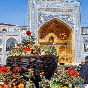 امام رضاجونم تولدت مبارک🙏🙏 
