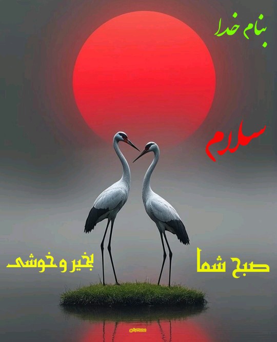 صبح بخیر 