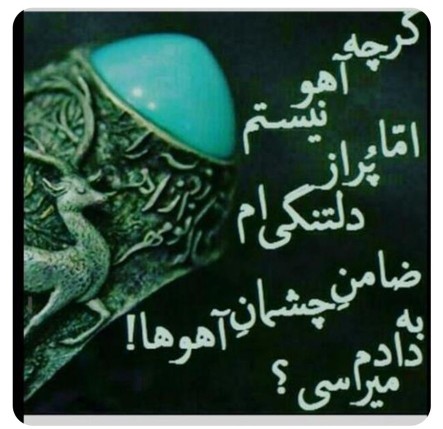 یامولا دلم تنگ اومده شیشه دلم ای خدازیرسنگ اومده‌!!!!