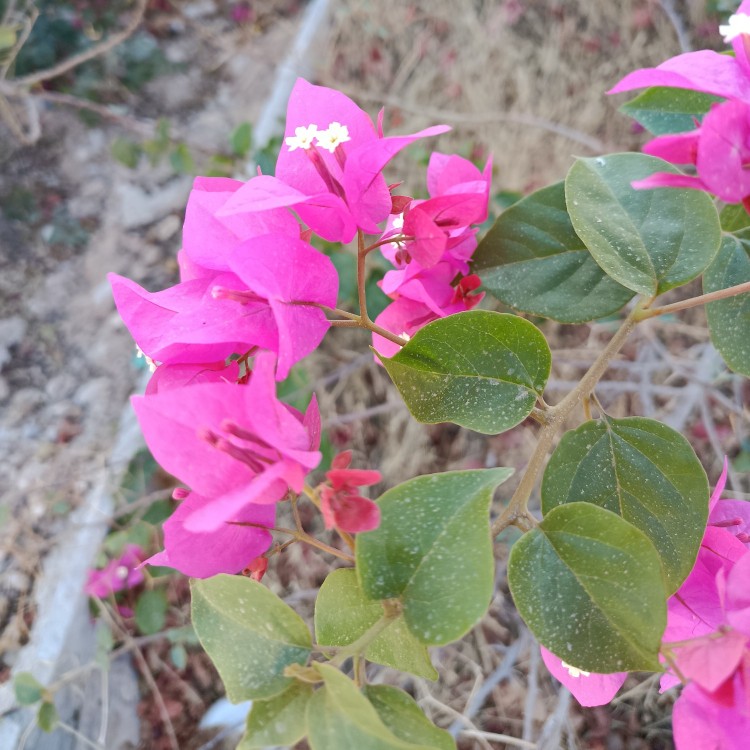 تقدیم به تو 🤗 آره با توام