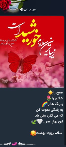تمام شادی دنیا برای شما دلتان شاد باشه😊😊😊😊🌷