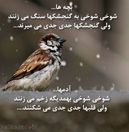 سن سون 