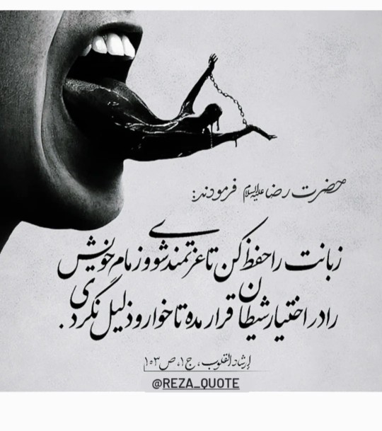 حدیث رضوی 