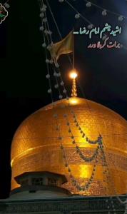 شنیدم امام رضا برات کربلا میده یا امام رئوف نظری 🤲🏼🤲🏼🥺