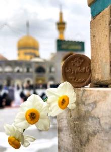 یا امام رضا خودت ما رو طلب کن 