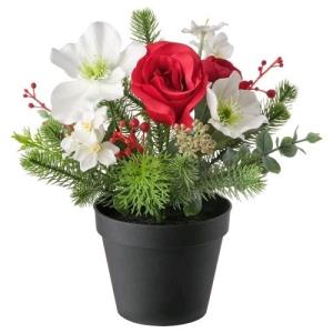 رابطه با جنس مخالف = وابستگی عاطفی
