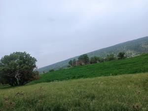 سلام دوستان گلم 
