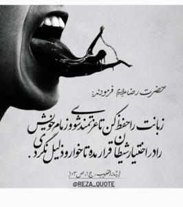 حدیث رضوی 