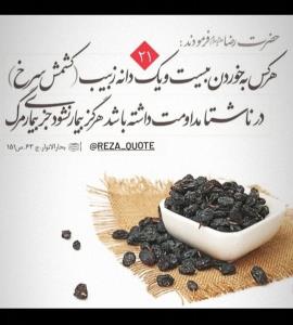 حدیث رضوی 