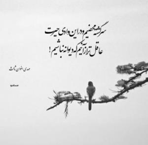 سن سون 