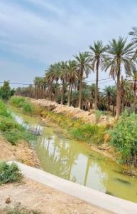 شادگان .خوزستان