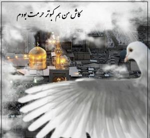 کبوتر می گفت:
عاشق آسمان است!
اما همیشه
روی گنبد تو می نشست…