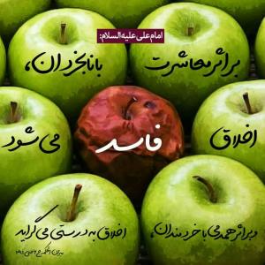 فقط خدا