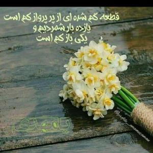 دلم تنگه اقا🥺🥺