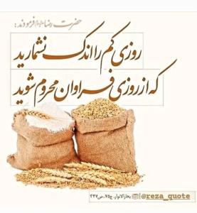 حدیث رضوی 