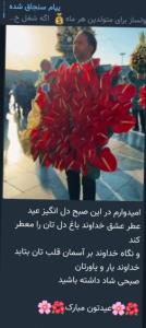 صبح تان و روزتان در آرامش باشه و قلب تان پر از عشق به خدا💚