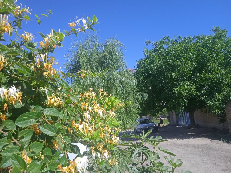 مهران لر...تصویر زیبای از کافه و خانه پدری  👌👌👌🙋👈🥰😘